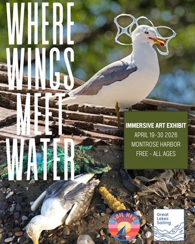 WhereWingsMeetWaterSimmons